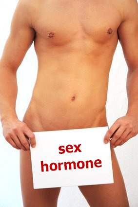 male sex hormone