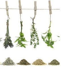 penis enlargement herbs