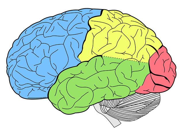 Neurological Disorders