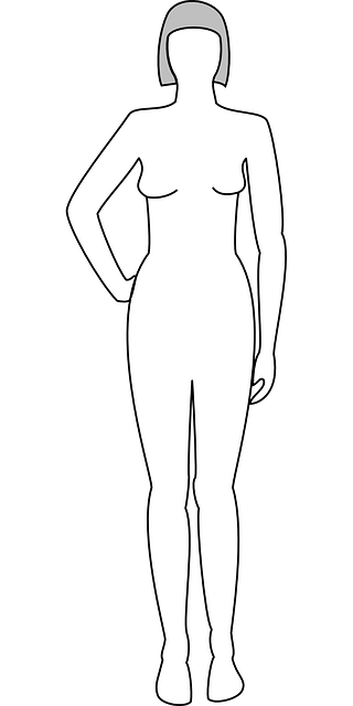outline of a human body