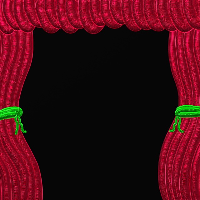 Curtain Tieback