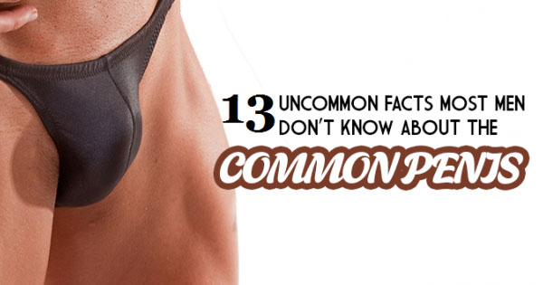 13 Uncommon Facts Most Men Don't Know About the Common Penis